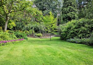 Optimiser l'expérience du jardin à Forest-en-Cambresis